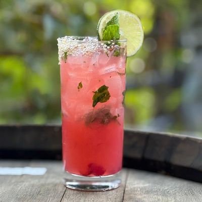 Boulder Social by null