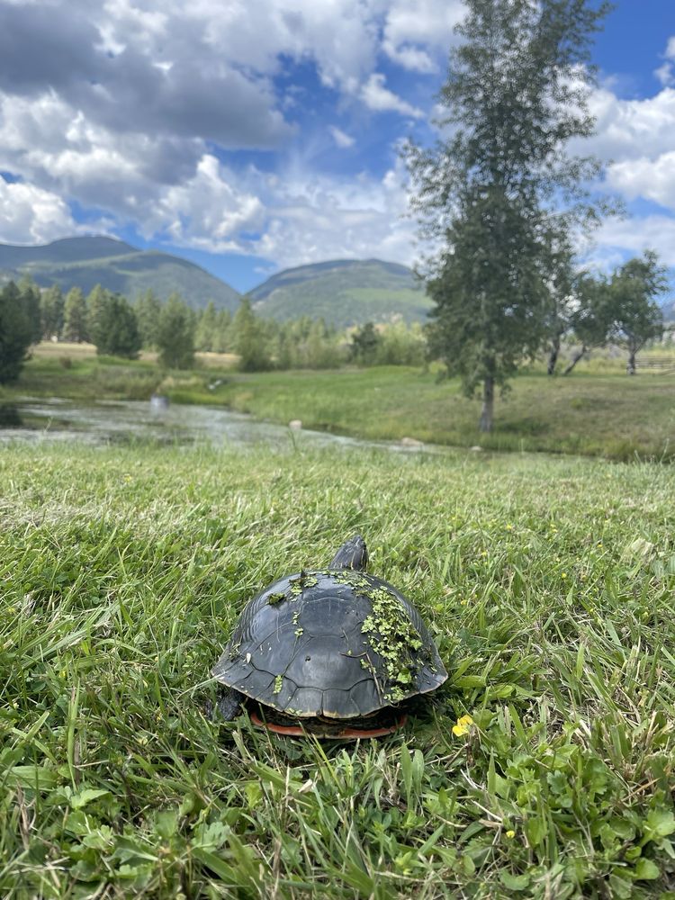 Social spots from Missoula Bicycle Works
