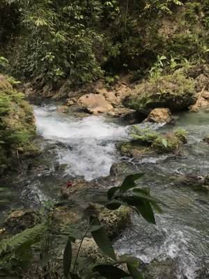 Kawasan Falls by null