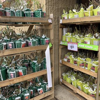 Tractor Supply - Pet Stores Near Me - Lockport, New York