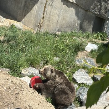 Denver Zoo - Zoos Near Me - Denver, Colorado