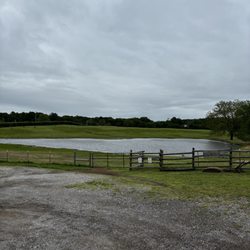 Shepherd's Cross - Pond