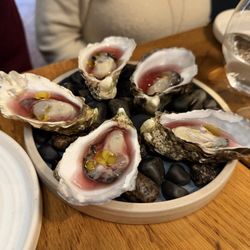 Daróg Wine Bar - Oysters