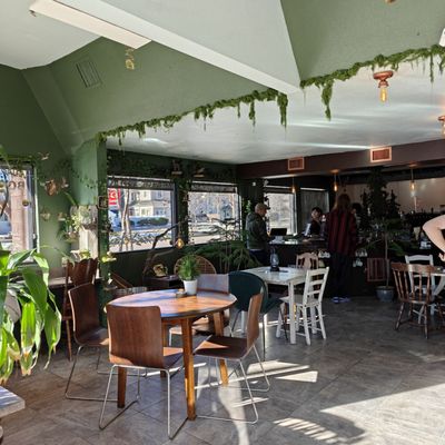 Misty Mountain Collective