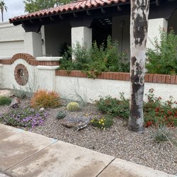 Earth Smart Design - After: ~6 mos-ish after initial desert landscape conversion, after plants had grown/filled-in