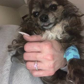 VCA Eagle River Animal Hospital - After - Veterinarians Near Me - Eagle River, Alaska