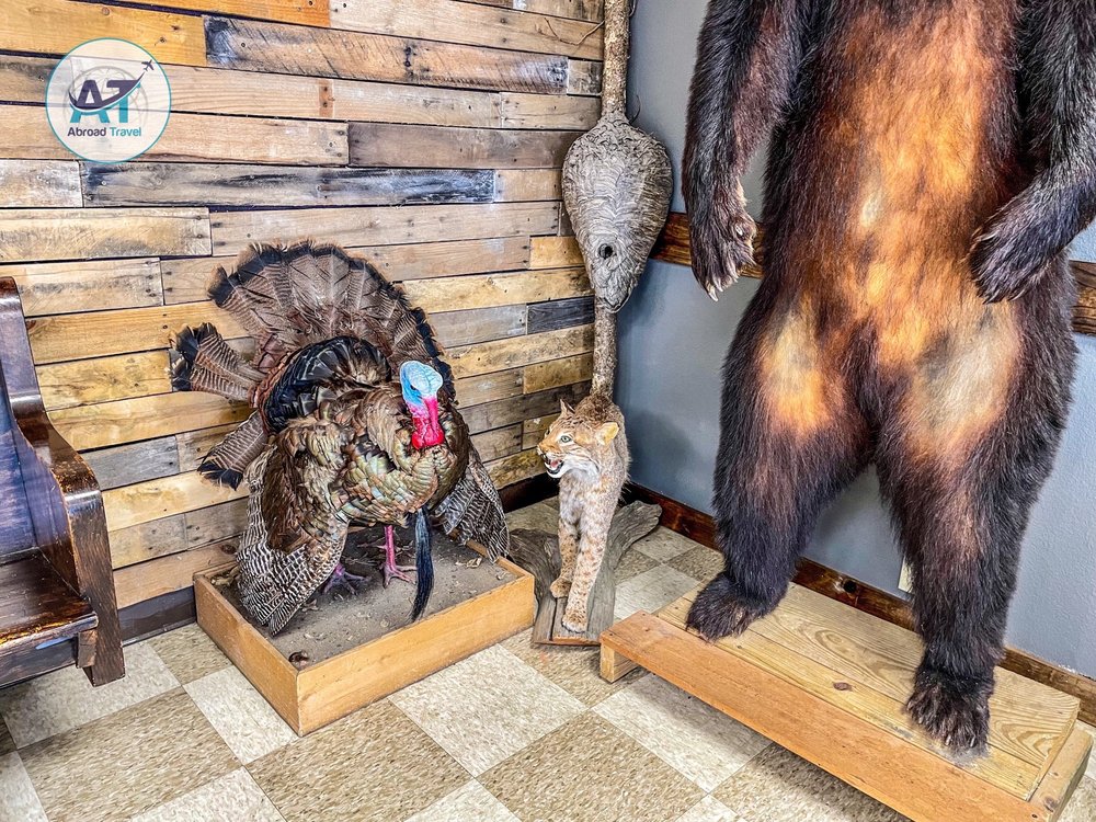 Jimmy's Barber Shop Logo