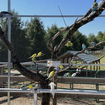 Deer Tracks Junction - Bird feeding area - Ice Cream & Frozen Yogurt Near Me - Cedar Springs, Michigan