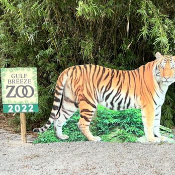 Gulf Breeze Zoo - Zoos Near Me - Gulf Breeze, Florida Gulf Breeze Zoo - Zoos Near Me - Gulf Breeze, Florida