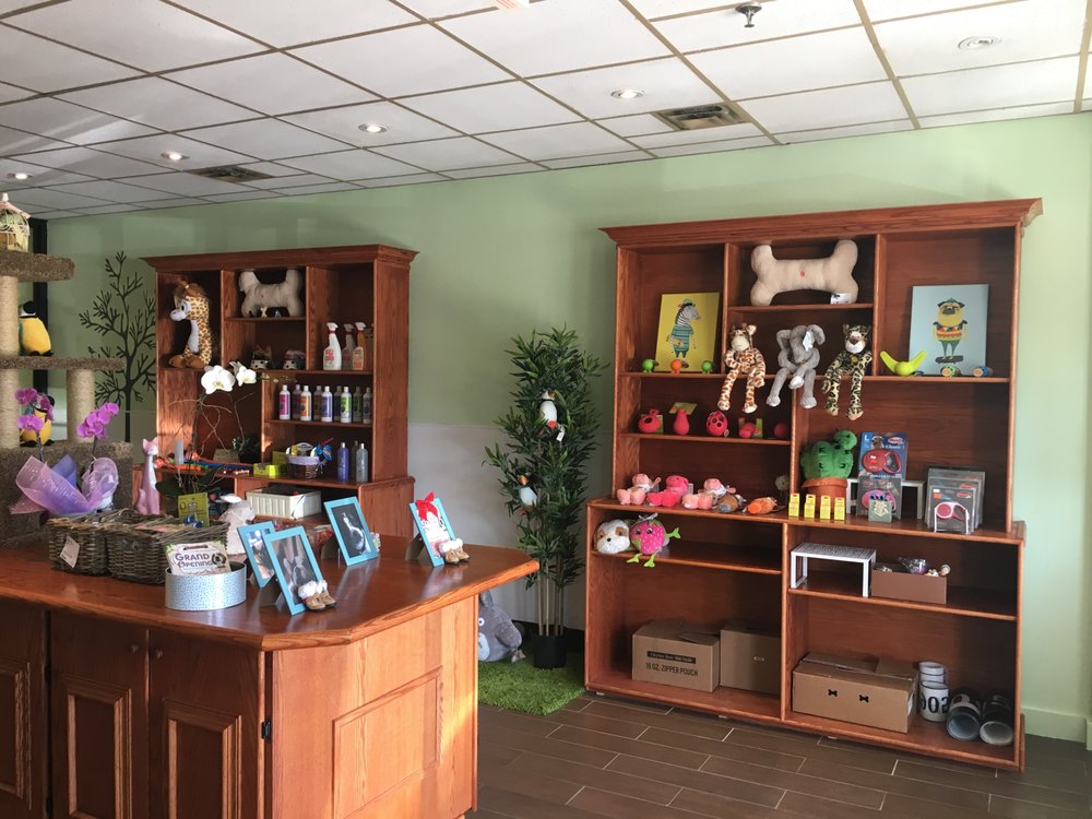 PAWS AVENUE GROOMING SALON Updated October 2024 35 Photos 211107