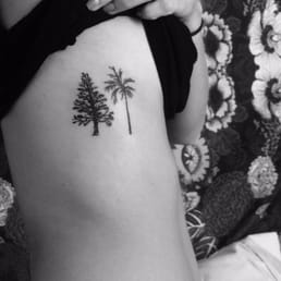 Pine tree/ Palm tree
