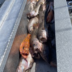 Coos Bay Charters