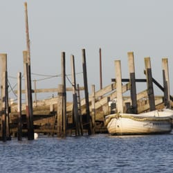 Beans Boat Trips - Morston Quay, Norfolk, beans boat trips