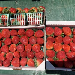 Scarborough Farms - Fresh California strawberries