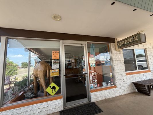 Motel Safari by null