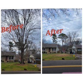 Smoky Mountain Tree Service - Tree Services Near Me - Knoxville, Tennessee Smoky Mountain Tree Service - Tree Services Near Me - Knoxville, Tennessee