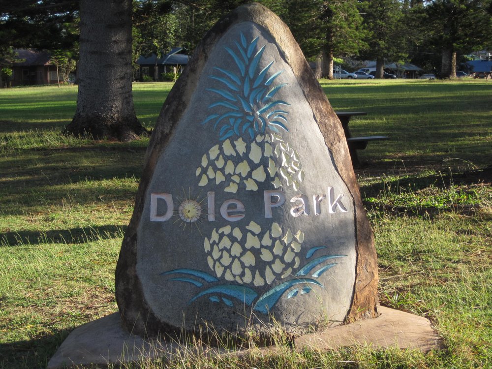Dole Park Logo