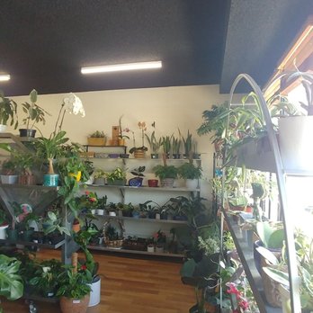 Forever Plants Plus - Interior - Nurseries & Gardening Near Me - Seaside, California