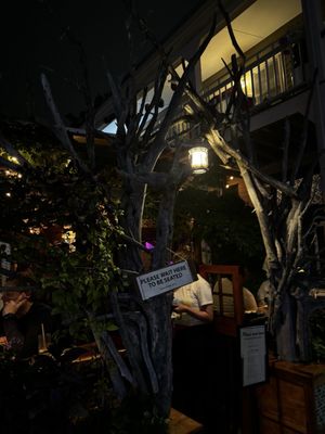 Nor'East Beer Garden by null