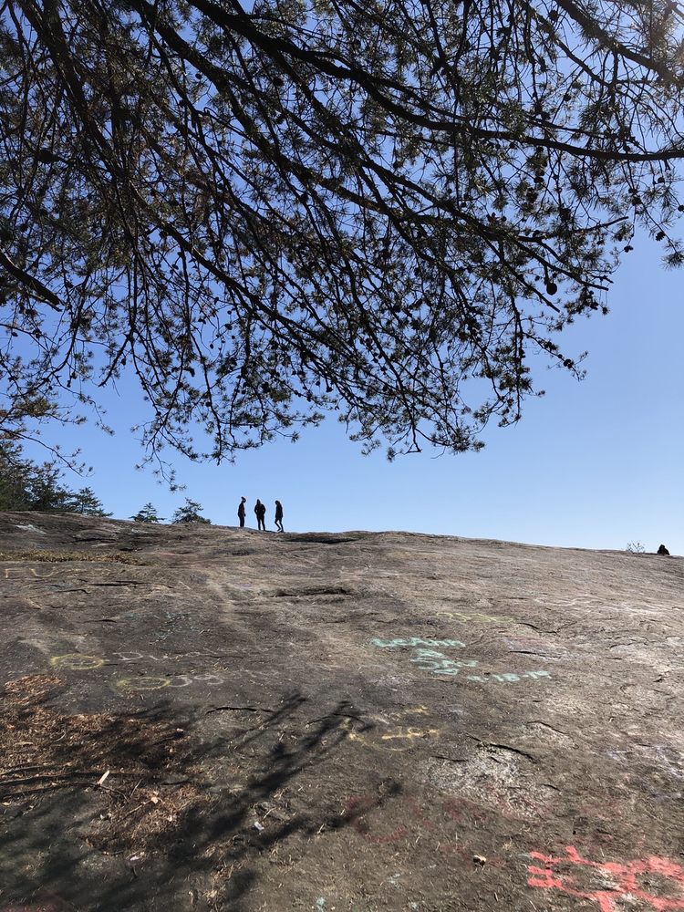 BALD ROCK HERITAGE PRESERVE 95 Photos & 14 Reviews Bald Rock