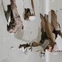 Photo of Bug Busters Pest Control & Termites