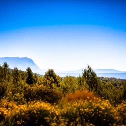Château du Seuil - Vue de la Sainte-Victoire à partir de notre parcelle de Victor