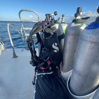 Oahu Dive Guide - Scuba Diving Near Me