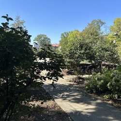 Mirror Lake