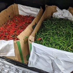 Sangam Grocery & Houseware - Chilis!