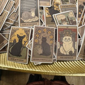 Novel - Stickers - Bookstores Near Me - Fredericksburg, Virginia