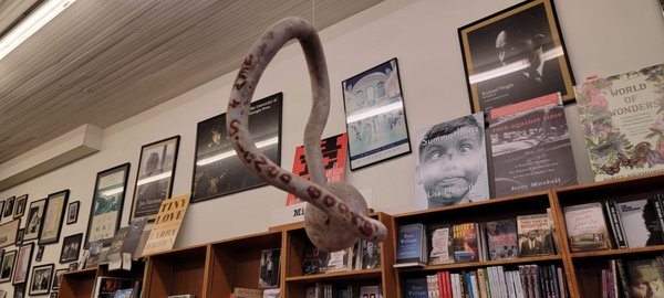 Square Books by null