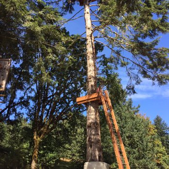 Tree to Tree Adventure Park - Includes a short bungee jump! - Amusement Parks Near Me - Gaston, Oregon