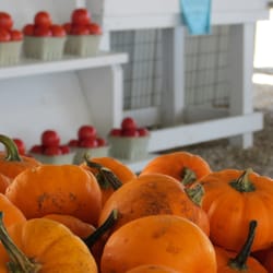 Guy Farms Produce - Delicious pumpkins and tomatoes for sale