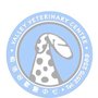 快活谷獸醫中心