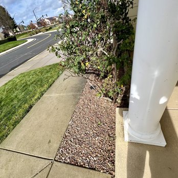 Regalado Landscape - Landscaping Near Me