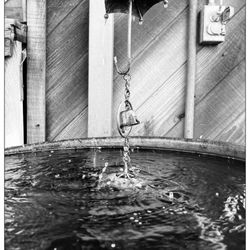 Sunset Nursery - Water chime. #bnwphoto