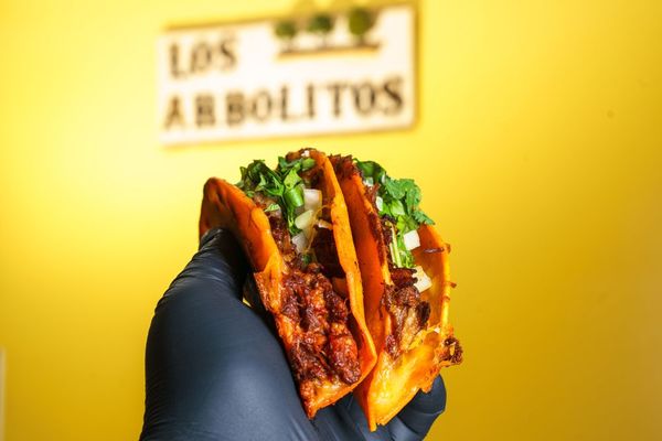 Los Arbolitos #2 by null