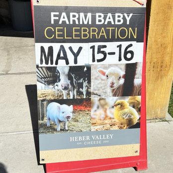 Heber Valley Artisan Cheese - Cheese Shops Near Me - Midway, Utah Heber Valley Artisan Cheese - Cheese Shops Near Me - Midway, Utah