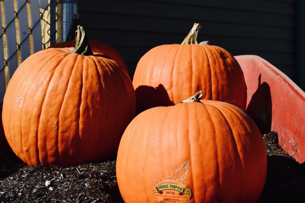 Osprey Adult Family Home - home care agency in Spokane, WA