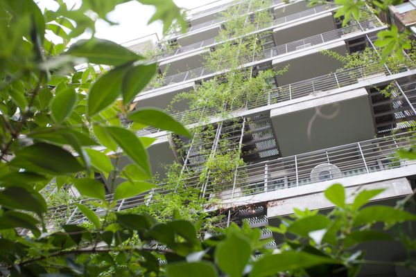 Palo Santo Hotel by null