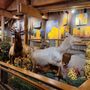 Jackson Hole & Greater Yellowstone Visitors Center