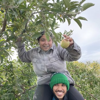 Allen's Orchard - Fruits & Veggies Near Me - Marion, Iowa