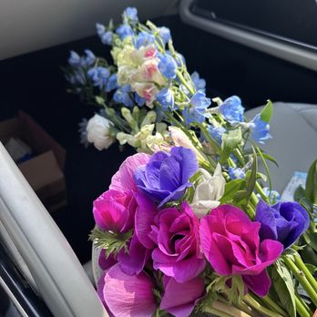 The Dogwood Tree - Fresh cut flowers to take home! - Florists Near Me - Charlottesville, Virginia The Dogwood Tree - Fresh cut flowers to take home! - Florists Near Me - Charlottesville, Virginia