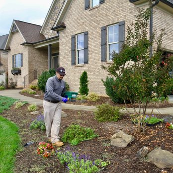 ClearDefense Pest Control - Pest Control Near Me - Greensboro, North Carolina