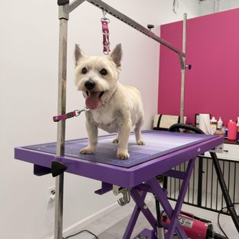 Furr Get About It Grooming - Pet Groomers Near Me - Forked River, New Jersey