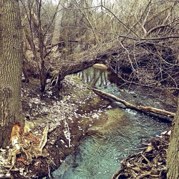 Buffalo Creek Forest Preserve - Another one - Parks Near Me - Long Grove, Illinois