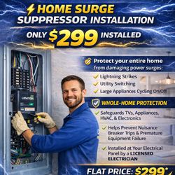 Champion Electric - Surge