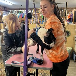 The Funny Farm Thrift Store