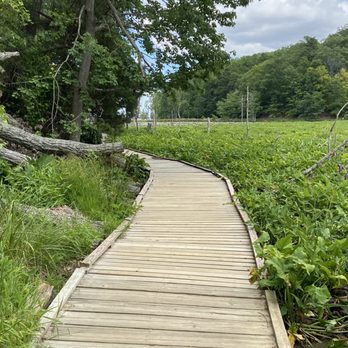 Calvert Cliffs State Park - Parks Near Me