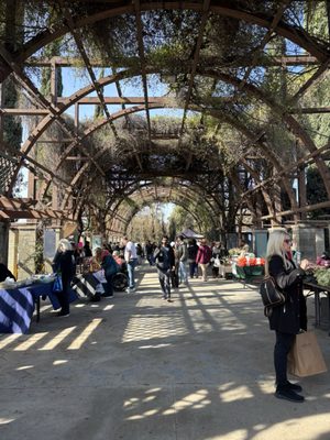 The Vineyard Farmer's Market by null